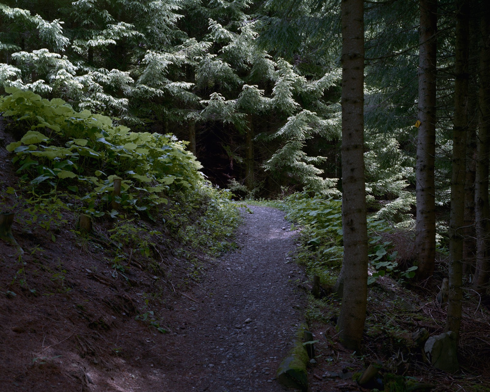 photograph from the series 33 Horizons