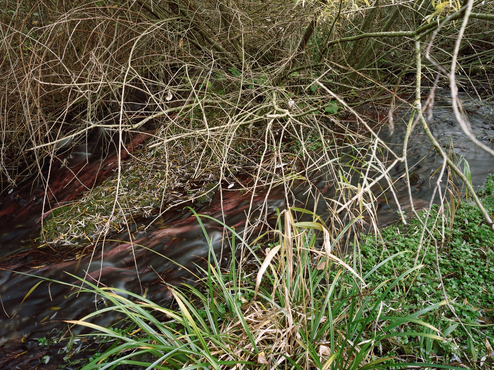 photograph from the series DELTA