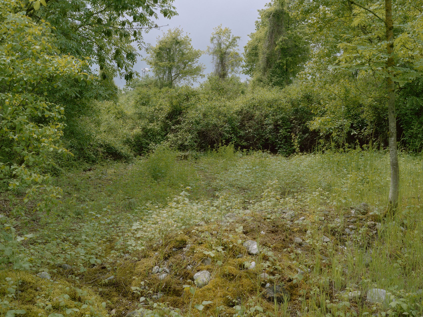 photograph from the series DELTA