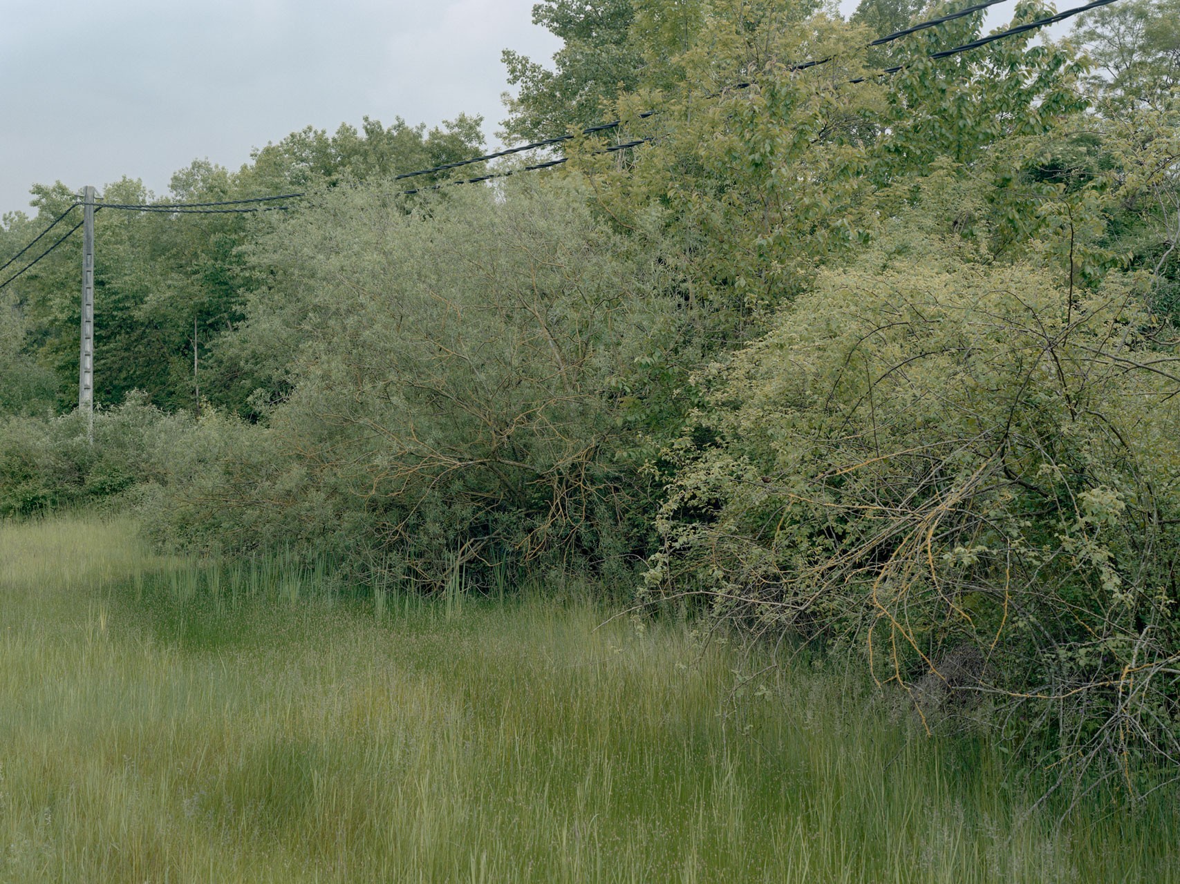 photograph from the series DELTA