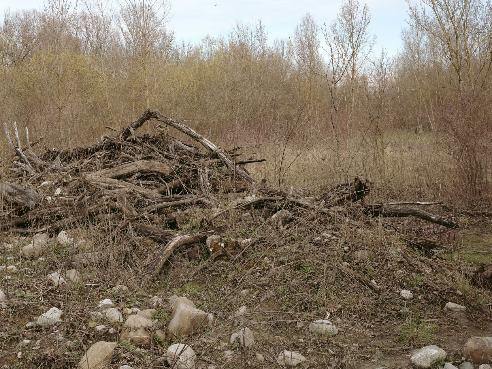 photograph from the series DELTA